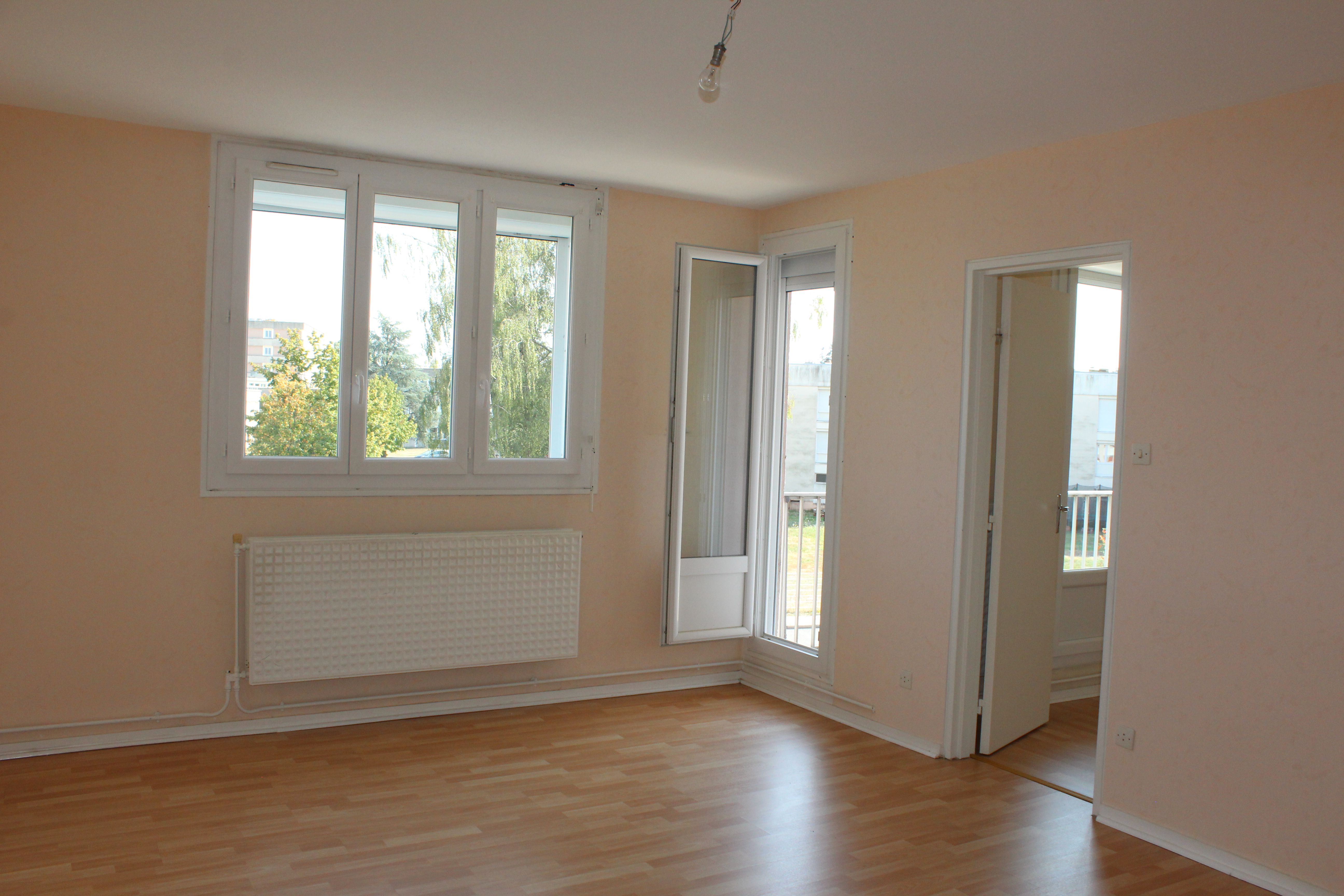 vente Appartement DIGOIN  Agence Carrier